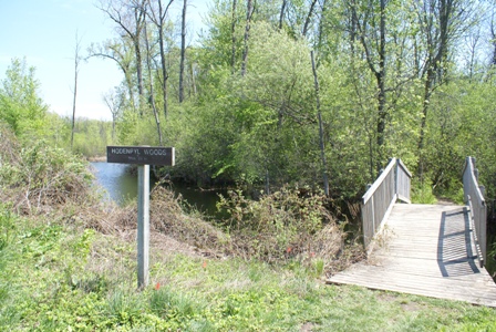 Hodenpyl Woods Photo