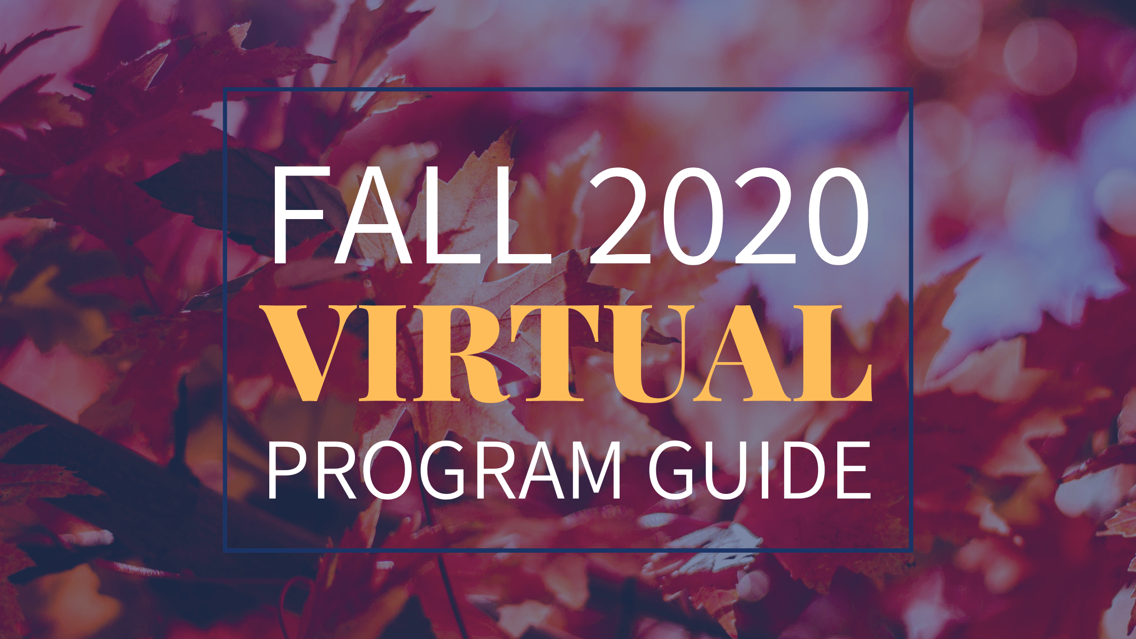 Fall Program Guide
