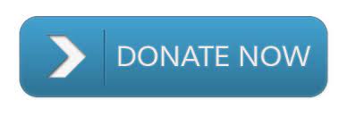 Donate now button