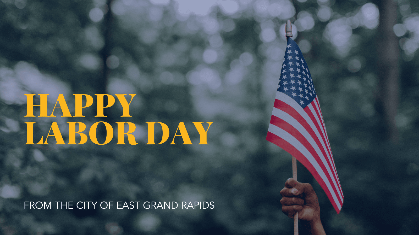 hand holding AMerican Flag with blurred forrestry in background