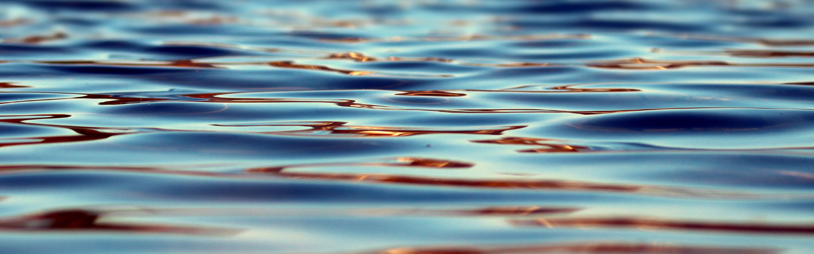 Closeup of the surface of gentle water