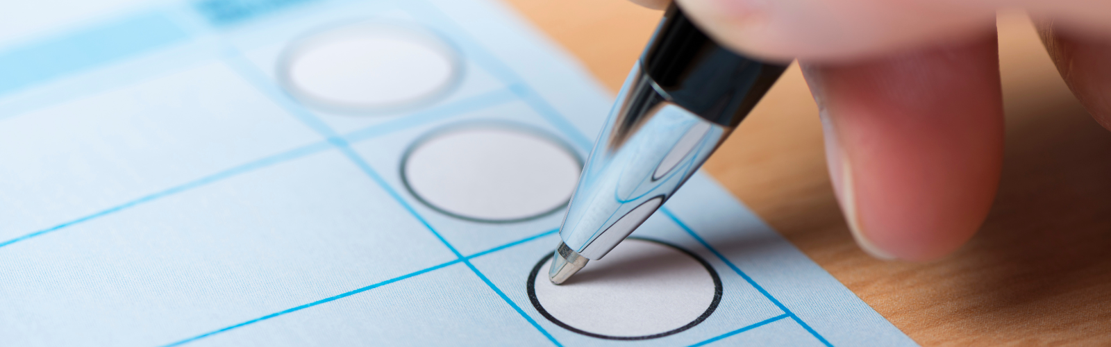 Ballpoint pen and blank ballot