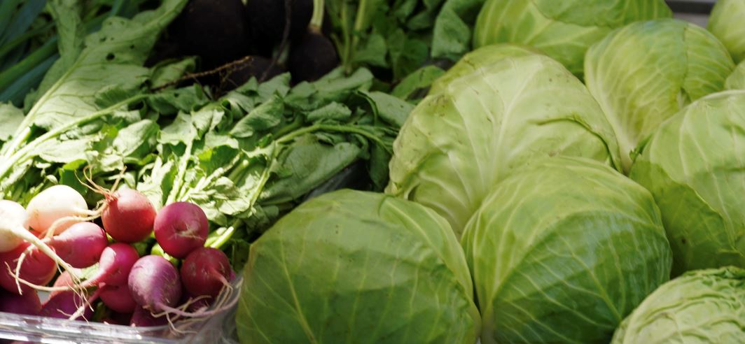 Cabbage and radishes