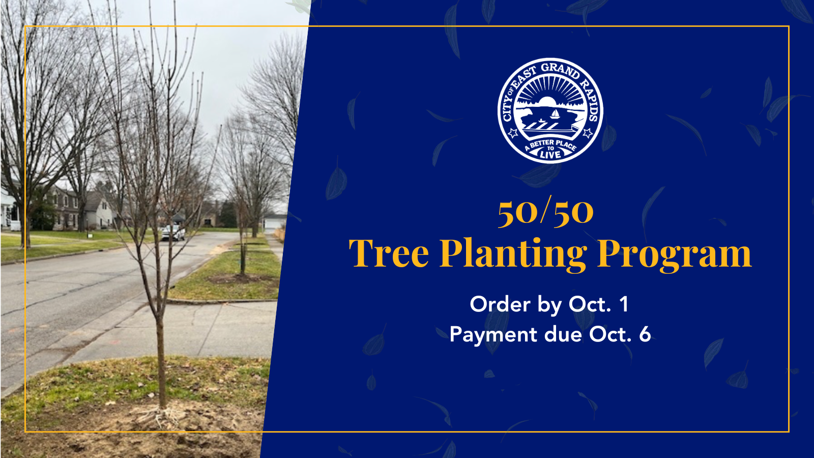 50/50 Tree Planting Program