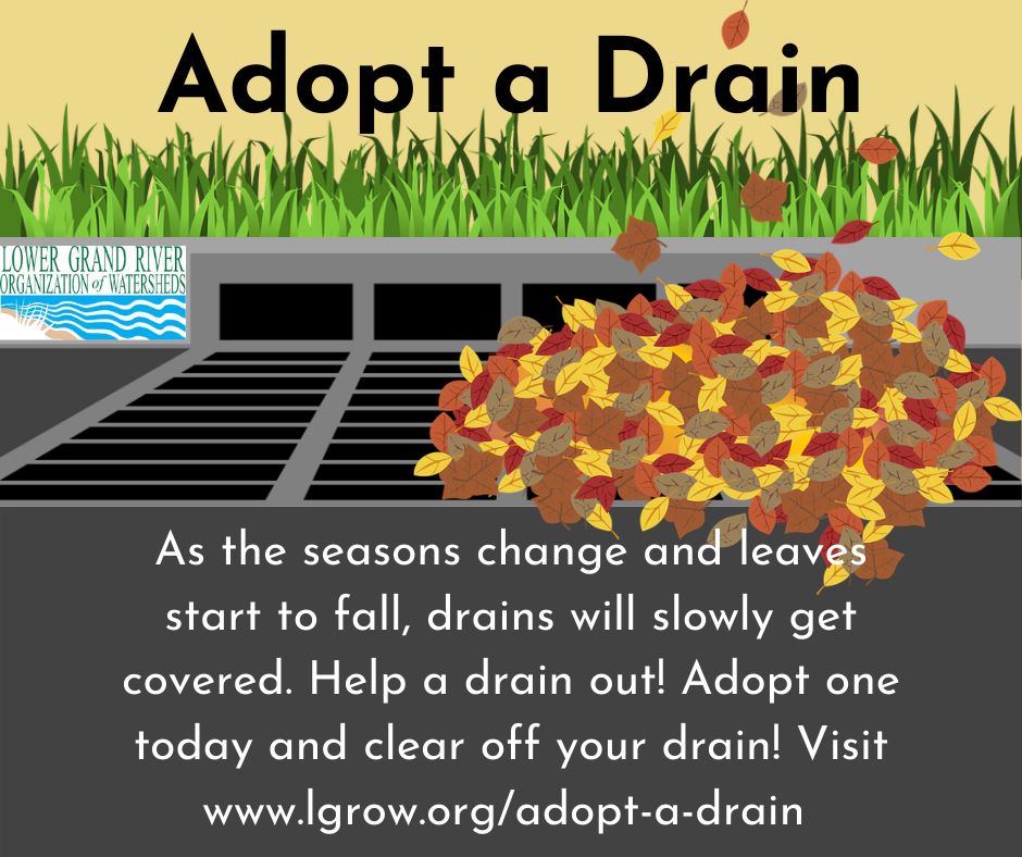 Fall adopt-a-drain