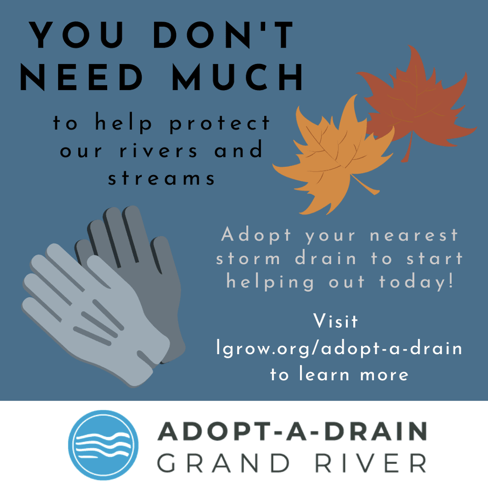 LGROW adopt a drain fall 2024