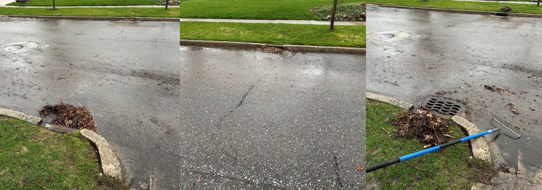 spring adopt-a-drain