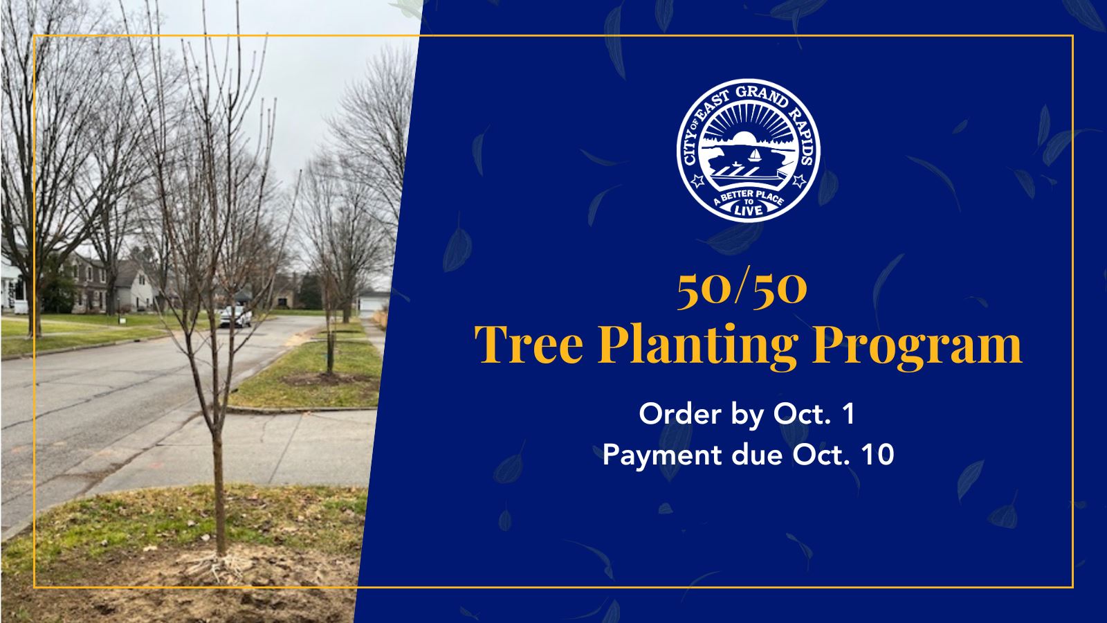 tree planting program