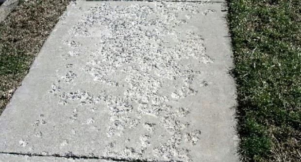 Salt-damage-on-sidewalk