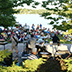 Concerts in the Park